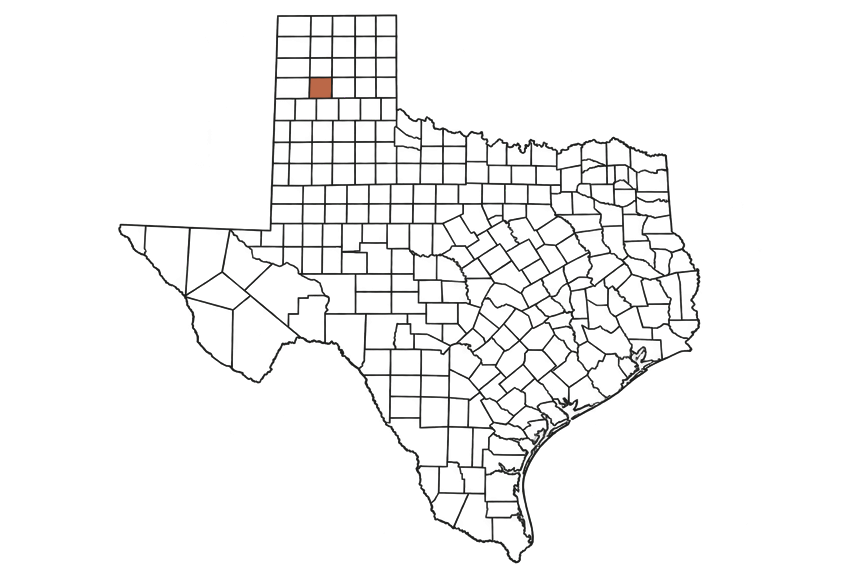 Randall County Texas Jobs